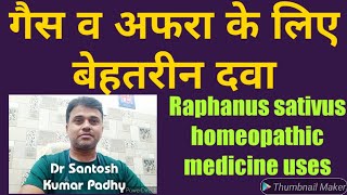 Raphanus sativus homeopathic medicine uses In Gastric Problems [upl. by Aizti]