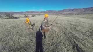 High River Hunting Preserve Tehachapi CA [upl. by Michel]