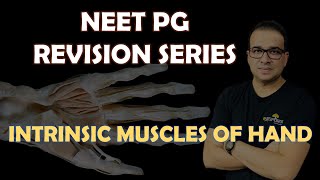 NEET PG INTRINSIC MUSCLES OF HAND [upl. by Dorion381]