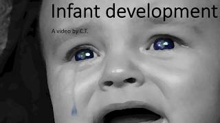 Infant development  Developmental Psychology [upl. by Fagaly]