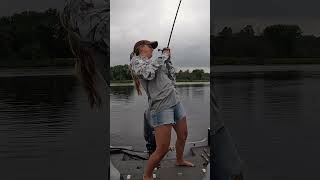 Frogging fishing youtubeshorts shorts bassfishing [upl. by Coyle]