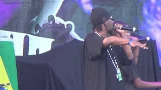 Brotha Lynch Hung  TrizZ set Gathering of the Juggalos 2013 [upl. by Ardnauq]