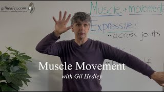 Muscle Movement Learn Integral Anatomy with Gil Hedley [upl. by Adniles]