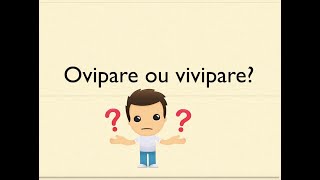 ovipare ou vivipare [upl. by Areval]