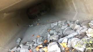 Storm drain exploration [upl. by Pickford116]