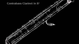 23 Clarinets  Clarinet Choir  Beelzebub  Solo for Contrabass Clarinet [upl. by Drahcir]