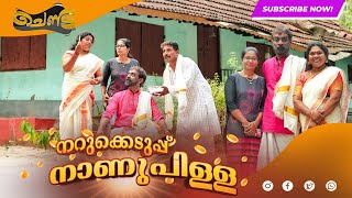 നറുക്കെടുപ്പ് നാണുപിള്ള  SAJAN PALLURUTHY  CHENDA  COMEDY  WEBSERIES  2024 [upl. by Cavit]