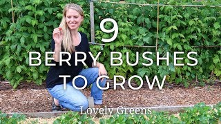 9 Types of Berry Bushes to grow in your Garden [upl. by Nosoj887]