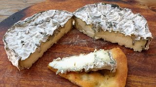 How to make home made Blue Cheese [upl. by Anippesuig951]