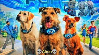 जब एलियन 👽 धरती पर आ गए😲 Space Pups 2024 Full Movie  Hollywood Movie Explained In HindiUrdu [upl. by Oahc]