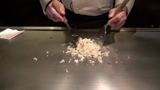 Japanese teppanyaki fried rice  Kyoto 2 [upl. by Blaseio]