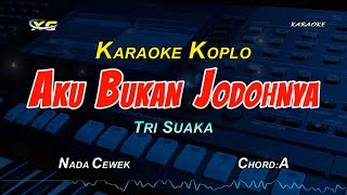 AKU BUKAN JODOHNYA KARAOKE KOPLO NADA CEWEK [upl. by Berkow]