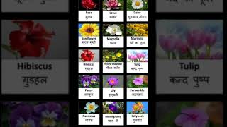 Learn the name of flowers in englishlearnenglishmprove your englishअंग्रेजी में फूलों के नाम [upl. by Bethena]