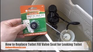 Fix a Leaking Toilet for under 3 [upl. by Hsatan]