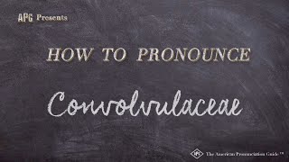 How to Pronounce Convolvulaceae Real Life Examples [upl. by Ahsemik]