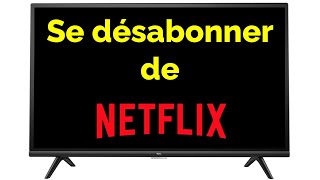 Comment se désabonner de Netflix – Désabonnement Netflix [upl. by Shinberg]