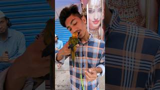 সান কনুর পাখির দাম জানুন মিরপুর [upl. by Nauq]