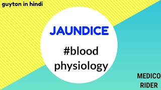 JAUNDICE PHYSIOLOGY  hemolytic  hepaticobstructive jaundice guytoninhindi bloodphysiology [upl. by Nawj]