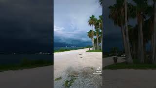 Dunedin Florida 📍🇺🇸 florida dunedin youtube shorts summer beach video [upl. by Kleeman388]