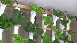 Basement Hydroponic Tower Garden Version 20 [upl. by Ressler483]