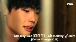 Doctor Stranger OST The Meaning Of Tears slow instrumental [upl. by Ahkeber826]