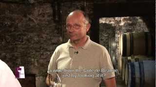 Understanding Burgundy Chablis Grand Crus with Bernard Raveneau [upl. by Ellenahc]