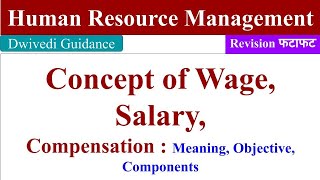 Concept of Wage and Salary Component of Compensation difference between wage and salary HRM [upl. by Fuhrman614]