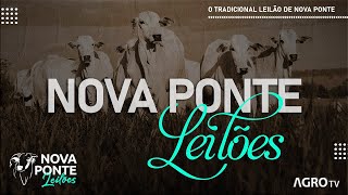 NOVA PONTE LEILÕES AO VIVO  NOVA PONTE MG [upl. by Aneek]