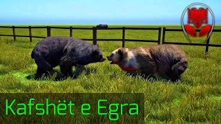 Kafshët e Egra   Far Cry 4 SHQIP  SHQIPGaming [upl. by Alden]