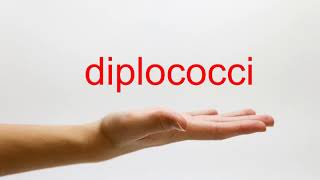 How to Pronounce diplococci  American English [upl. by Grishilda]