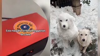 SOBREMESA MIÉRCOLES 21224 crearon un aparato para bloquear el reggaeton y un perro hecho de nieve [upl. by Oneladgam]