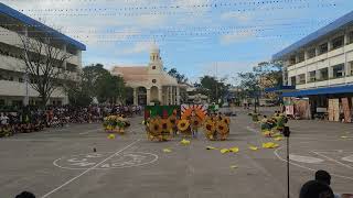 Pintados Festival [upl. by Godfry681]