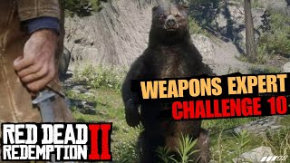 Weapons Expert 10 Easiest Way with This Location  Red Dead Redemption 2 [upl. by Adniled543]