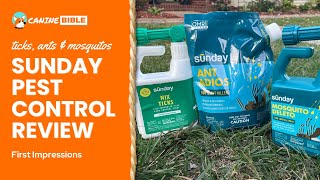 Sunday Pest Control Review Get Rid of Insect Pest [upl. by Boone]