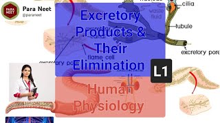 Excretory products and Their Elimination Lecture 1 [upl. by Norak]