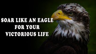 Soar like an eagle for your victorious life  Motivational your mind [upl. by Doomham227]