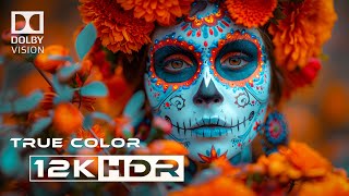 Experience The Ultimate Color Depth of 12k HDR 60FPS [upl. by Trust402]