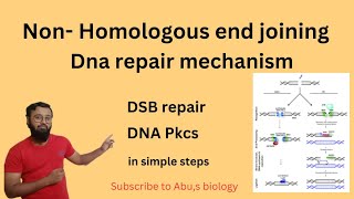 Non Homologous end joining  Dna repair mechanism NHEJ  DSB repair dnarepair [upl. by Nitnerb]