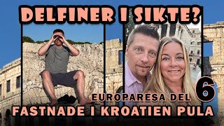 DELFINER I SIKTE  KROATIEN  PULA [upl. by Smailliw]