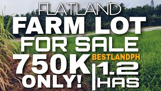 SOLD 051 FARM LOT FOR SALE  NAPAKA PEACEFUL NA FARM LOT [upl. by Atiken17]