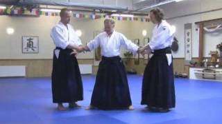 Aikido Teaching Video  Principles and Perspectives  Preview video  Ki Extension [upl. by Yleik]