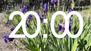 Calm Purple Iris 20Minute NeoClassical Piano Timer with WakeUp Jingle at the end [upl. by Renard]