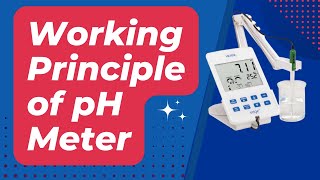 CALIBRATE A PH METER step by step  How To Use PH meter [upl. by Enyallij868]