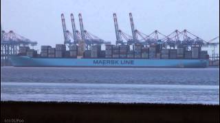 MOGENS MAERSK  Weser höhe Bremerhaven [upl. by Herc791]