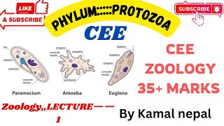 Phylum Protozoa  Cee zoology by Kamal Nepal sir with best notes ever and various stories [upl. by Nivar191]