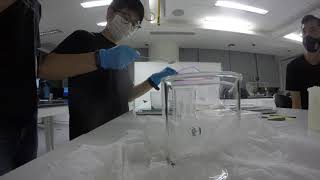 30316 Making Chitosan Solution Time Lapse [upl. by Jacobba]