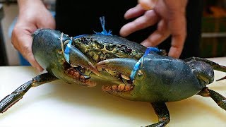 Japanese Street Food  GIANT MUD CRABS Crab Dumplings Chilli Okinawa Seafood Japan [upl. by Ploss]