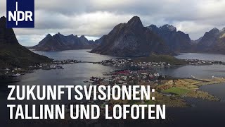 Wie Tallinn und die Lofoten in die Zukunft gehen  Ostseereport  NDR Doku [upl. by Granniah]