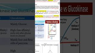 glycolysis part 3 hexokinase and glucokinase [upl. by Kimmel686]