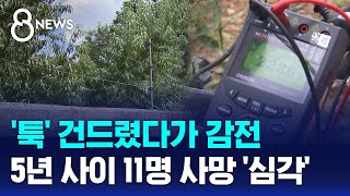 툭 건드렸다가 감전…5년 사이 11명 사망 심각  SBS 8뉴스 [upl. by Analim]